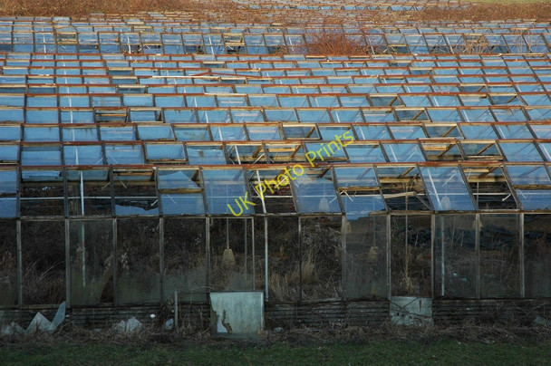Photo 6"x4" Greenhouses near Wickhamford Evesham c2011