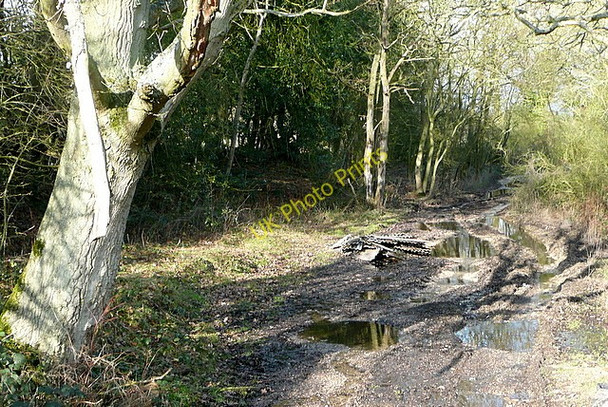 Photo 6"x4" Muddy byway Mortimer West End c2011