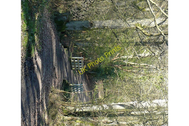 Photo 6"x4" Bridge in Pamber Forest Pamber Heath c2011