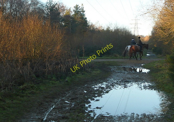 Photo 6"x4" Horse riders in Bramshill Plantation Lower Common\/SU7662 c2011