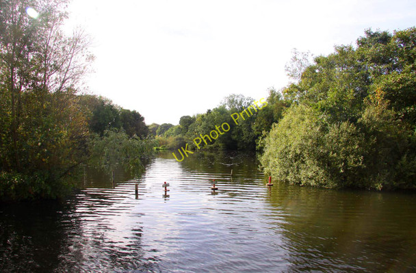 Photo 6"x4" A private broad by Salhouse Salhouse c2010