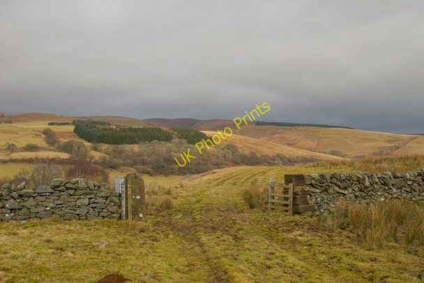 Photo 6"x4" Footpath from Burnmouth Enterkinfoot c2011