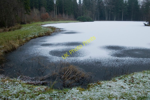 Photo 6"x4" Coldstream Loch in Drumlanrig Woods Cairnpark\/NX8698 c2011