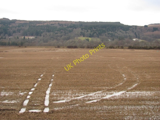 Photo 6"x4" Stubble, Dowally Dalguise c2010