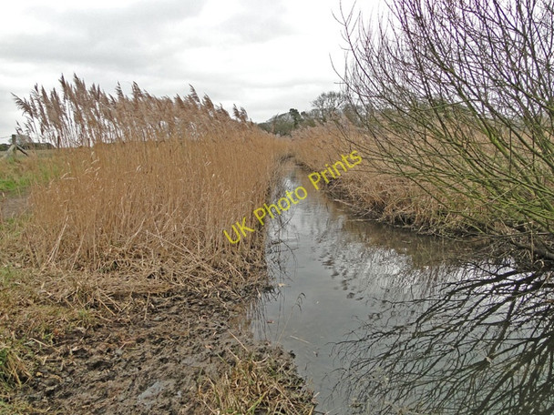 Photo 6"x4" Drainage ditch beside a footpath at Eastbridge marshes Eastbridge\/TM4566 c2011