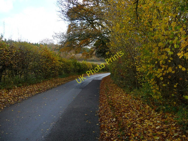Photo 6"x4" Andover Down - The Middle Way Andover Down c2010