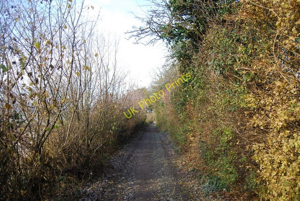 Photo 6"x4" North Downs Way Warren Street c2010