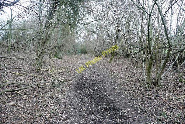 Photo 6"x4" Bridleway from Ley Hill Botley\/SP9802 c2011