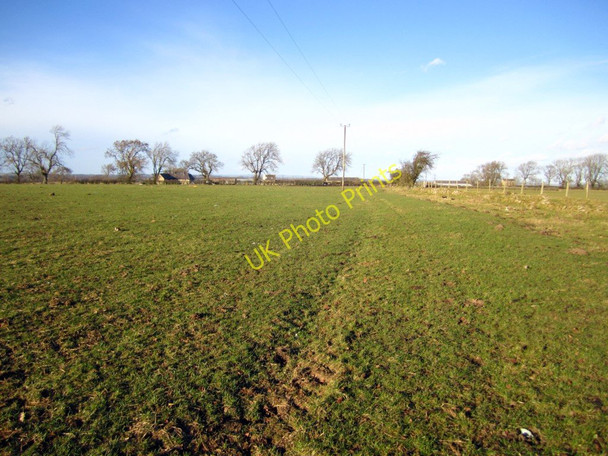 Photo 6"x4" Bridleway south of Heddon Steads Houghton\/NZ1266 c2011