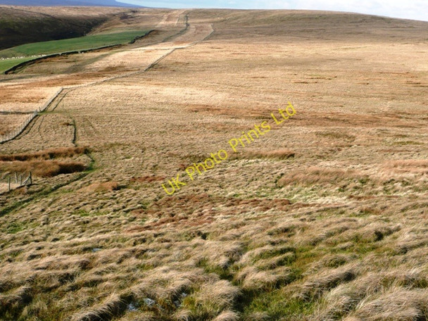 Photo 6"x4" Route across the moor Cwm-celyn\/SO2008 c2008
