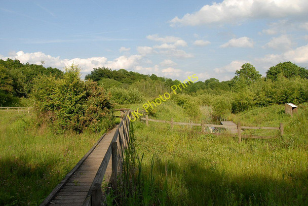 Photo 6"x4" Walkway to Dipping Pond Rixton c2009