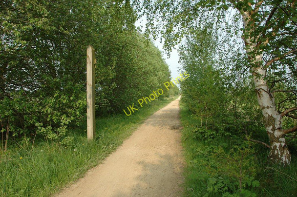 Photo 6"x4" Trans Pennine Trail Dunham Woodhouses c2008