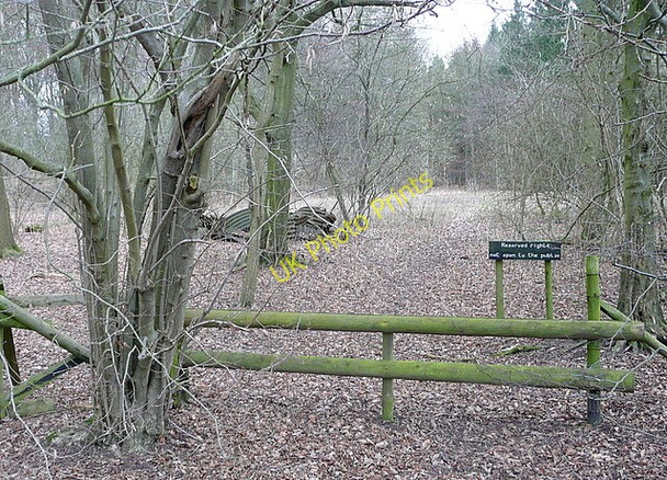 Photo 6"x4" Track into Frith Wood Amersham c2011