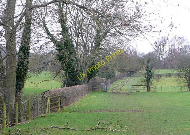 Photo 6"x4" The Chess Valley Walk Amersham c2011