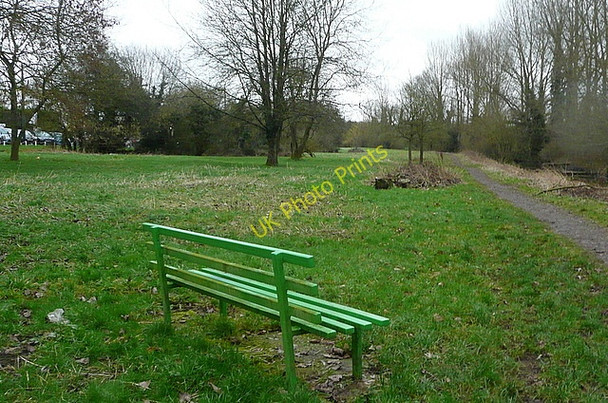 Photo 6"x4" In the park Chesham\/SP9601 c2011