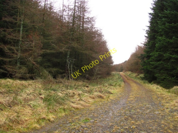 Photo 6"x4" Deer seat, Grassfield Halmyre Mains c2011