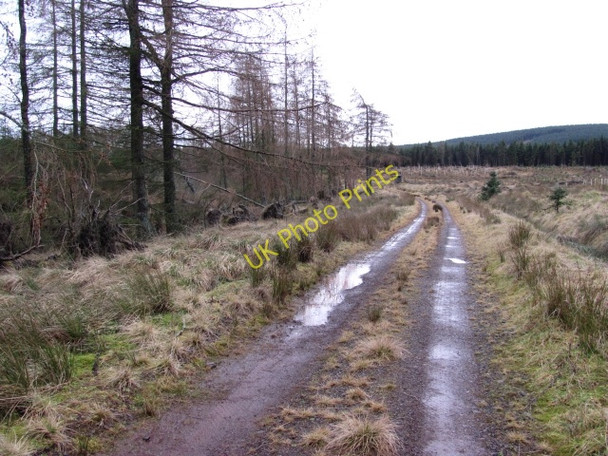 Photo 6"x4" Road, Grassfield Halmyre Mains c2011