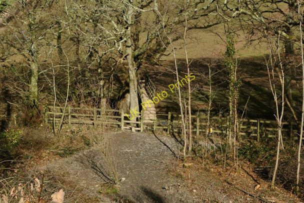 Photo 6"x4" A footbridge on Knowl Water Heanton Punchardon c2011