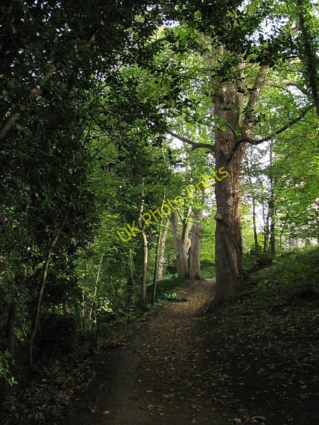 Photo 6"x4" Riverside path, Durham Durham c2010
