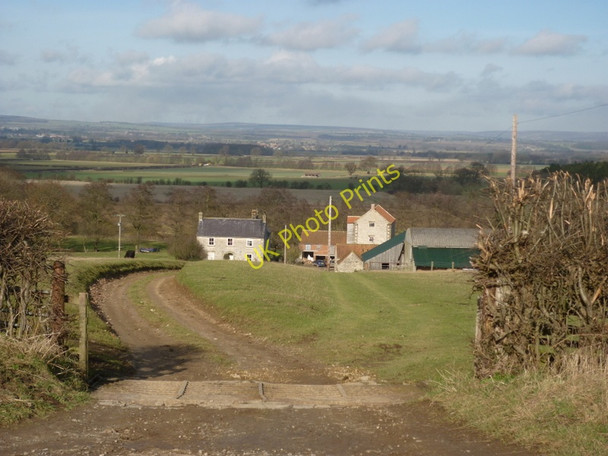 Photo 6"x4" Mill Farm, Nunnington Nunnington\/SE6679 c2011