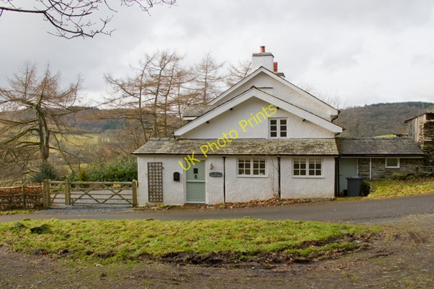 Photo 6"x4" Breasty haw Satterthwaite c2011