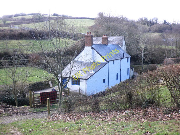 Photo 6"x4" Cottage, at Pitt Mill Leighland Chapel c2011