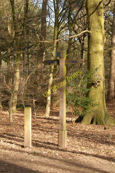 Photo 6"x4" Signpost in Black Wood Northwich c2011