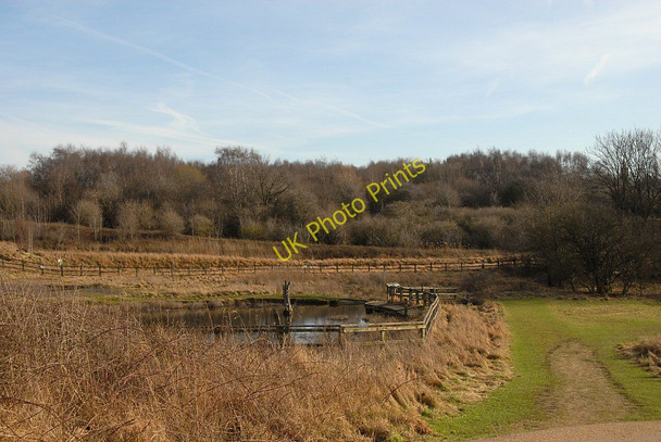 Photo 6"x4" The Dragonfly Pond Northwich c2011