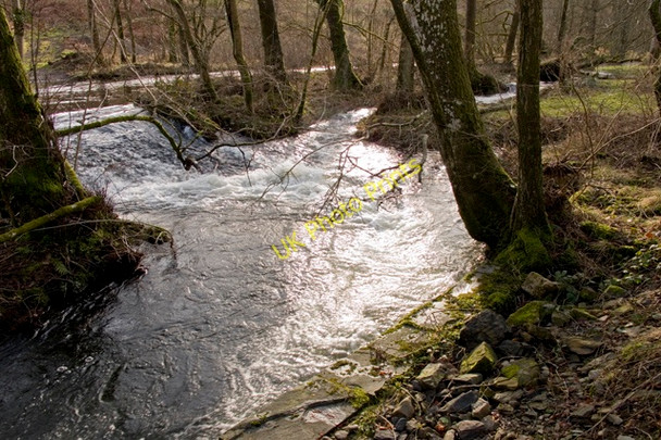 Photo 6"x4" Cunsey Beck from Cunsey Bridge High Cunsey c2011