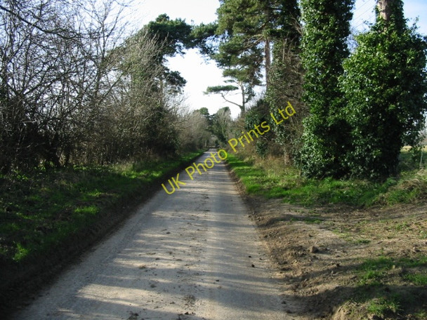 Photo 6"x4" Lane near Updown Farm Betteshanger c2008