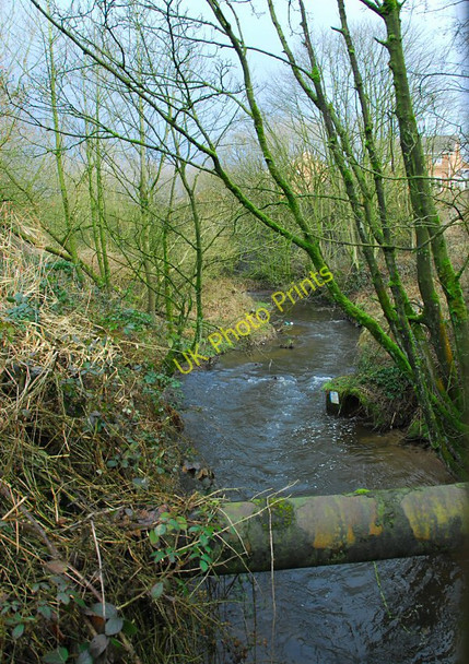 Photo 6"x4" Pipeline over the river Douglas Adlington\/SD6013 c2011