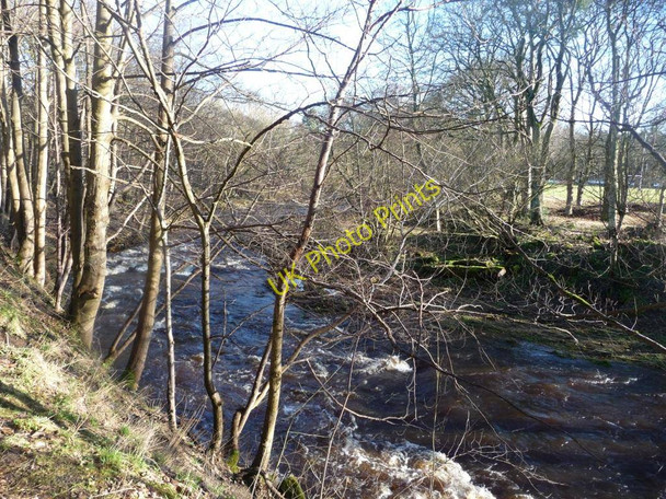 Photo 6"x4" The Water of Leith Balerno c2011