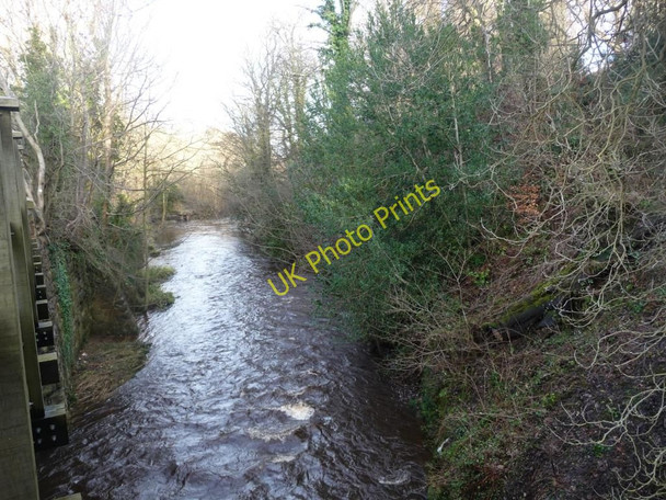 Photo 6"x4" Water of Leith Juniper Green c2011