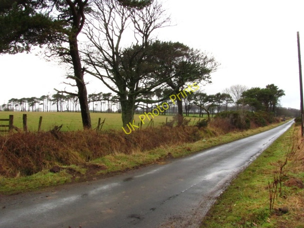 Photo 6"x4" Road to Lumsdaine Coldingham c2011