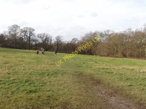 Photo 6"x4" Ancient meadow by Horsenden Hill Wembley c2008