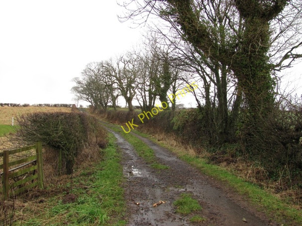 Photo 6"x4" Lane, Coldingham Coldingham c2011
