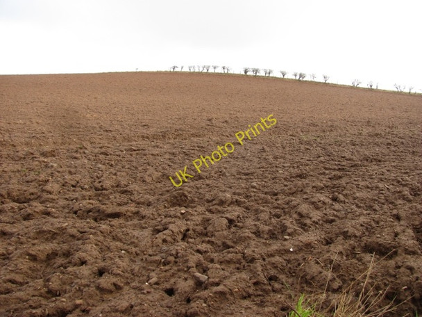Photo 6"x4" Ploughed field Coldingham c2011