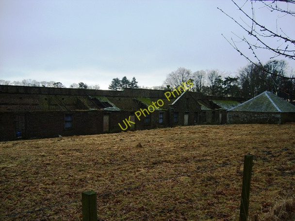 Photo 6"x4" Panmure walled gardens Muirdrum c2011