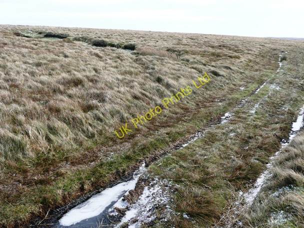 Photo 6"x4" On Cefn Coch Garn-yr-erw c2008