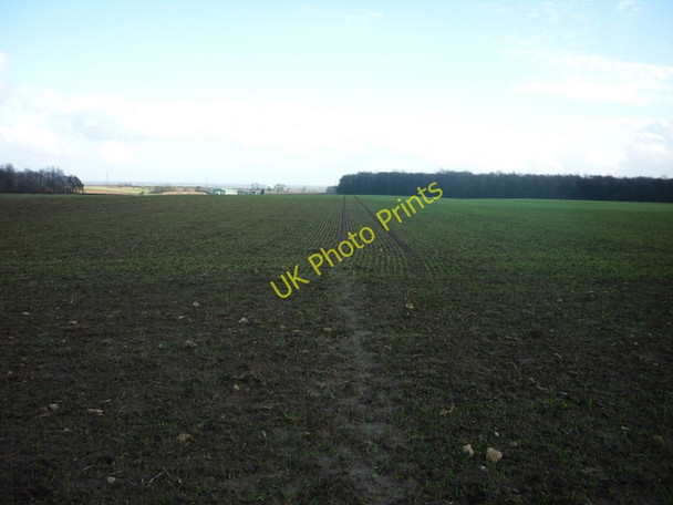 Photo 6"x4" A footpath towards Sherburn in Elmet Micklefield\/SE4433 c2011
