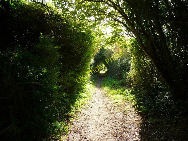 Photo 6"x4" Monxton - Footpath Amport c2010