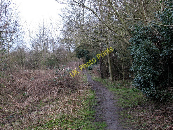Photo 6"x4" Bridleway on the edge of Bushey Wood Eccles\/TQ7360 c2011