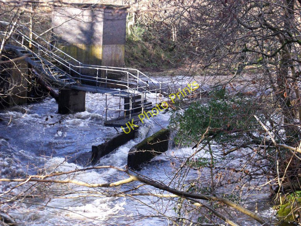 Photo 6"x4" River Carron, Langhill Weir Fankerton c2011