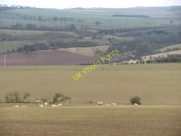Photo 6"x4" Sheep pasture, Swansfield Auchencrow c2011
