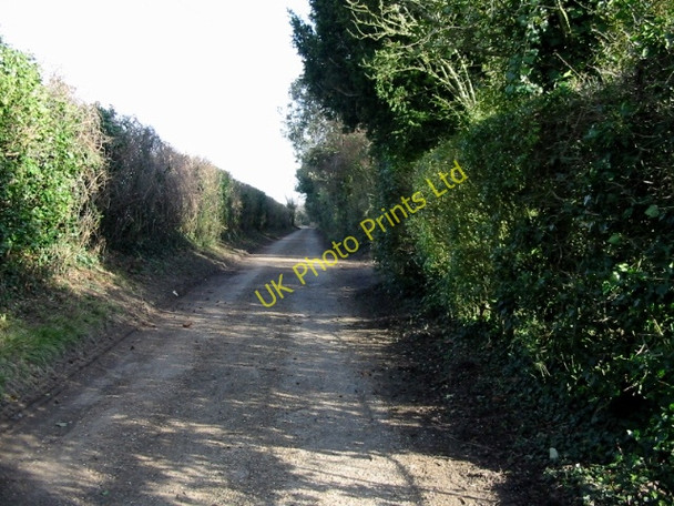 Photo 6"x4" View NE along road from Coldharbour Betteshanger c2008