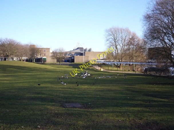 Photo 6"x4" Vanbrugh Bowl & College Heslington c2011