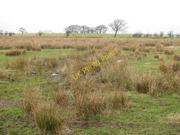 Photo 6"x4" Wet farmland Bellside c2011