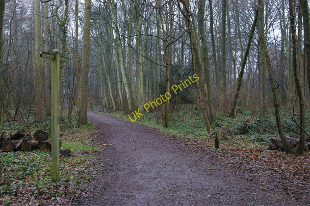 Photo 6"x4" Bridle path, Cuckoo Wood Hazelwood\/TQ4461 c2011