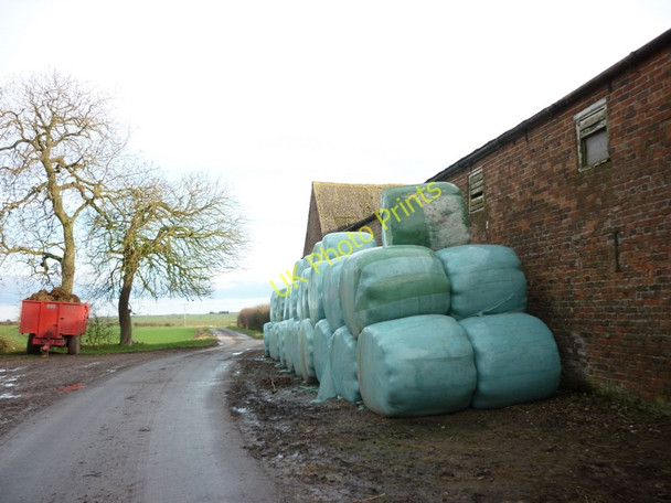 Photo 6"x4" Rysome Lane at Rysome Garth, South Holderness Holmpton c2011