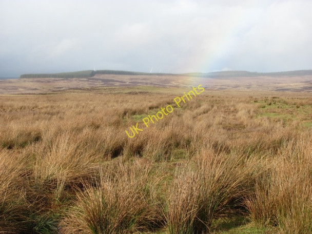 Photo 6"x4" Wet grassland, Weston Weston\/NT0347 c2011